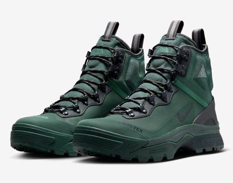 Кросівки NIKE ACG ZOOM GAIADOME GORE-TEX DD2858-300 100182 фото
