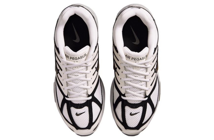 Кросівки Nike AIR PEGASUS 2005 HQ5403-003 147184 фото